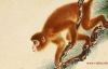 2024属猴要小心一个人 属猴人在2024年的贵人是谁呢