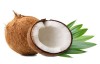 梦见椰子是什么意思 它是一种吉兆吗