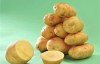 梦见土豆是什么意思 它是一种好运的征兆吗